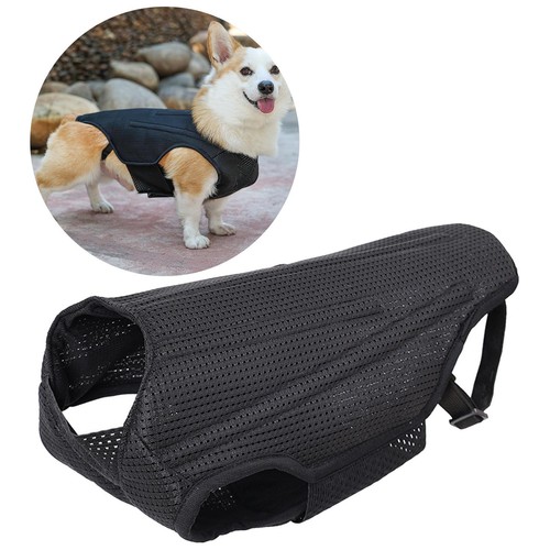 Dog back brace support - dog,