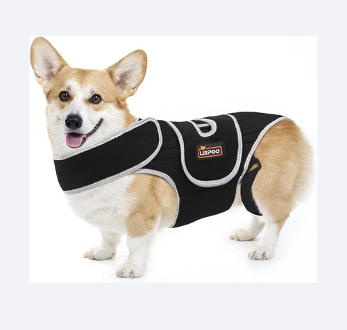 Lispoo dog back brace for - dog,