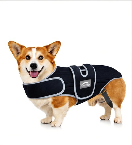 Dog back brace support vest - dog,