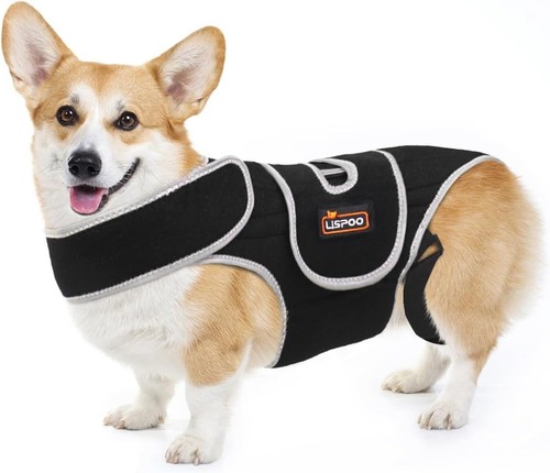 Lispoo dog back - brace, ivdd