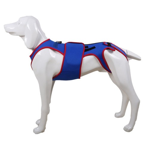 Dog support strap - support,