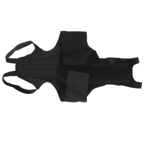 Dog back brace pet - brace,