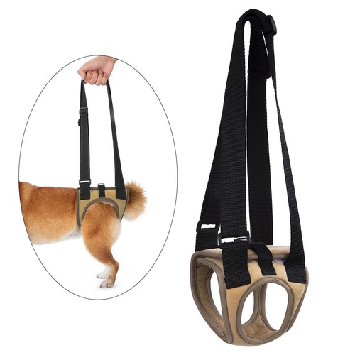 Dog sling for - for, legs