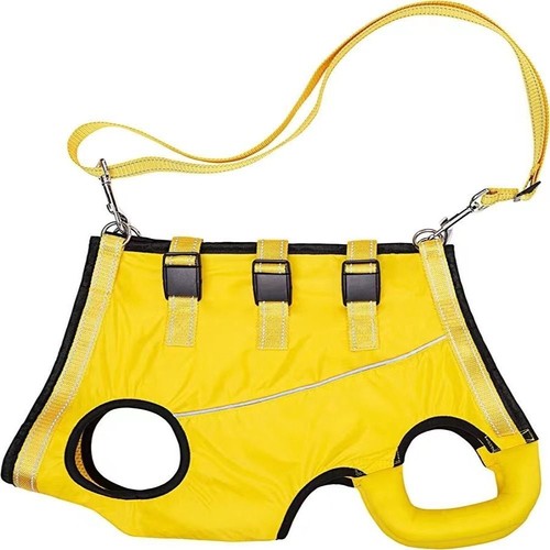 Dog front back lift - dog,
