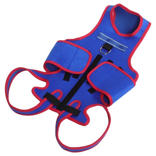 Back brace for dogs - back, pet